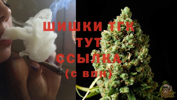 хмурый Богданович