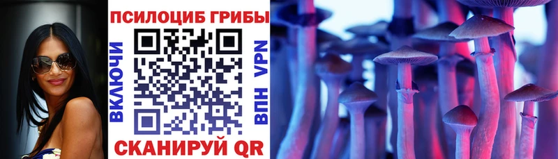 Псилоцибиновые грибы мицелий  мориарти как зайти  Светлый  цены  